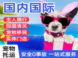 兰旗机场快递国际宠物托运 【国